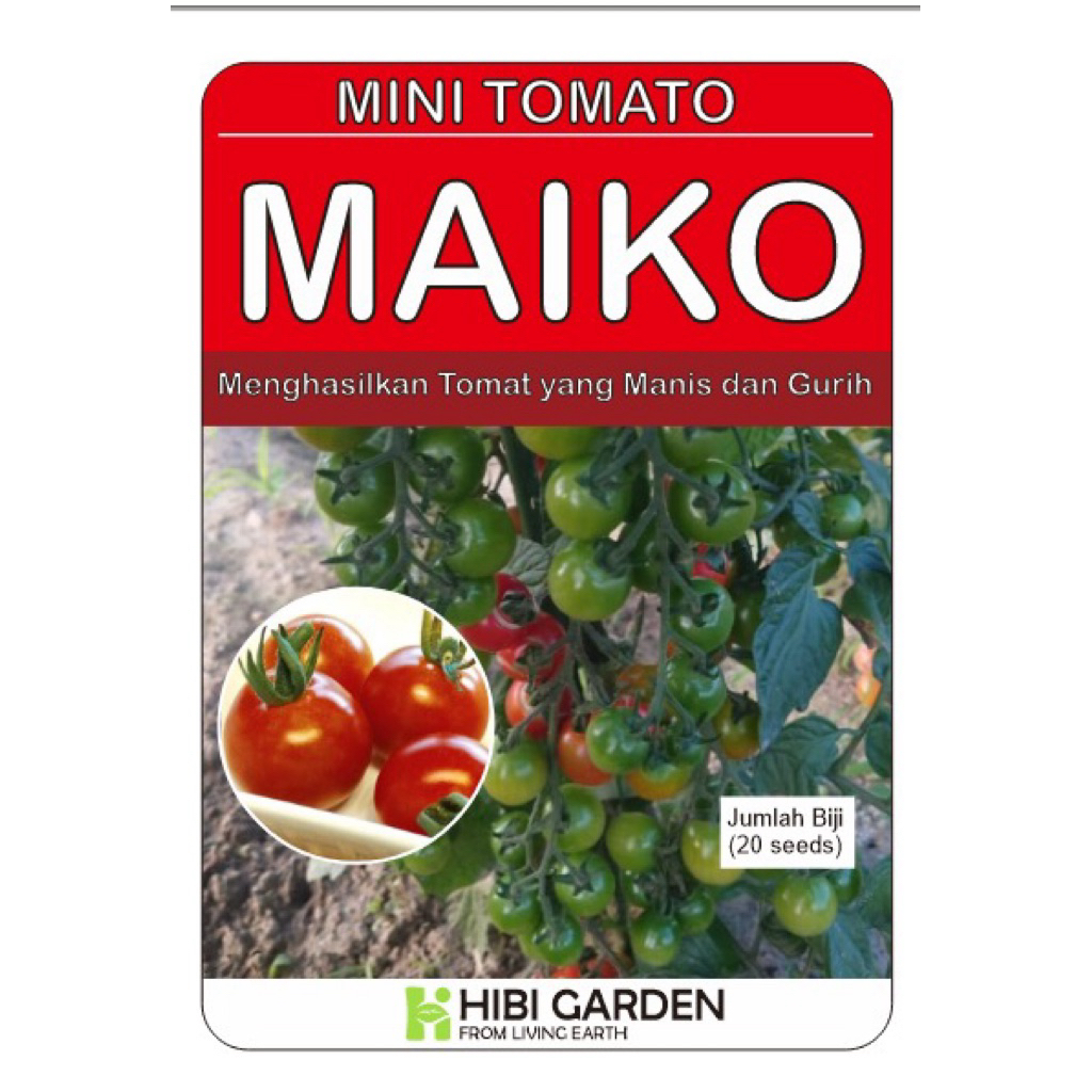 

Tomat Cherry Varietas Maiko Asal Jepang