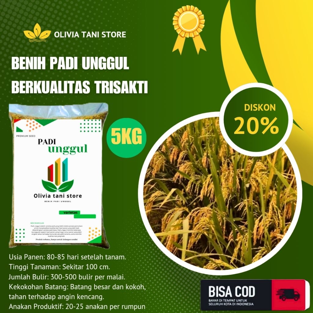 BENIH PADI UNGGUL BERKUALITAS TRISAKTI 100% ORIGINAL