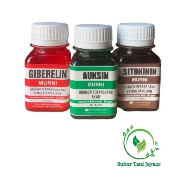Paket lengkap Hormon ZPT Auksin Giberlin Sitokinin Kualitas Super
