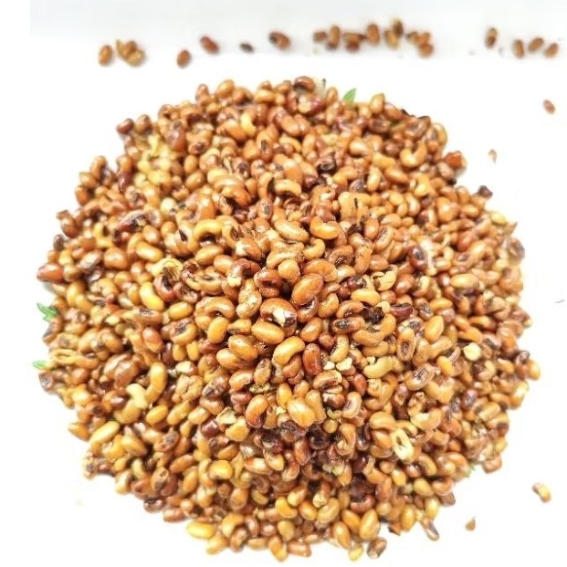 

Kacang beras merah goreng original tidak alot tanpa bumbu apapun atau kacang tolo atau kacang tunggak