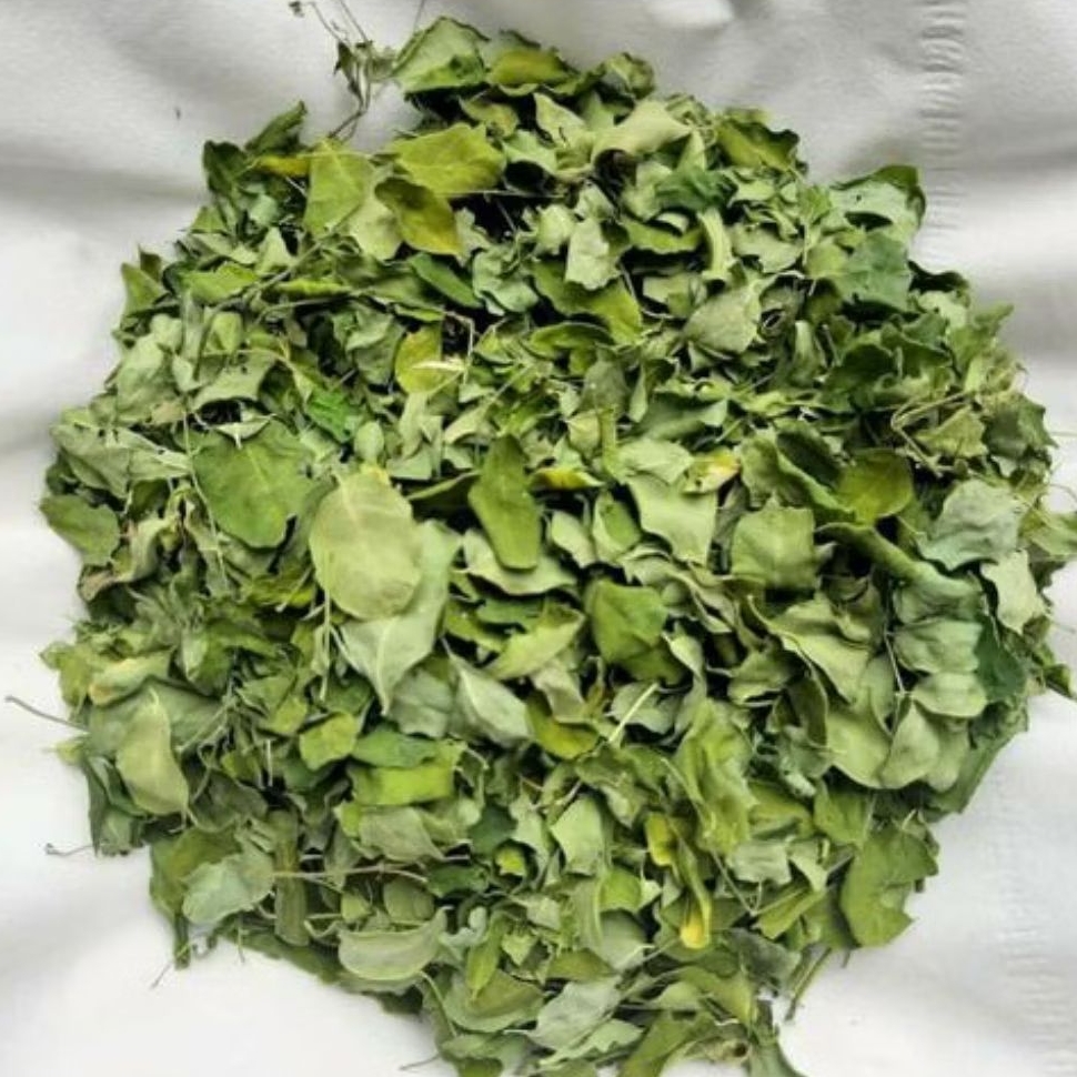 

Teh Daun kelor kering kemasan 100 Gram murni