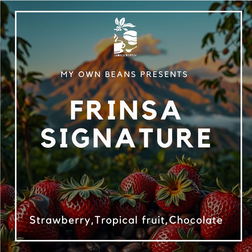 

FRINSA SIGNATURE Speciality Coffee Beans BY MY OWN BEANS