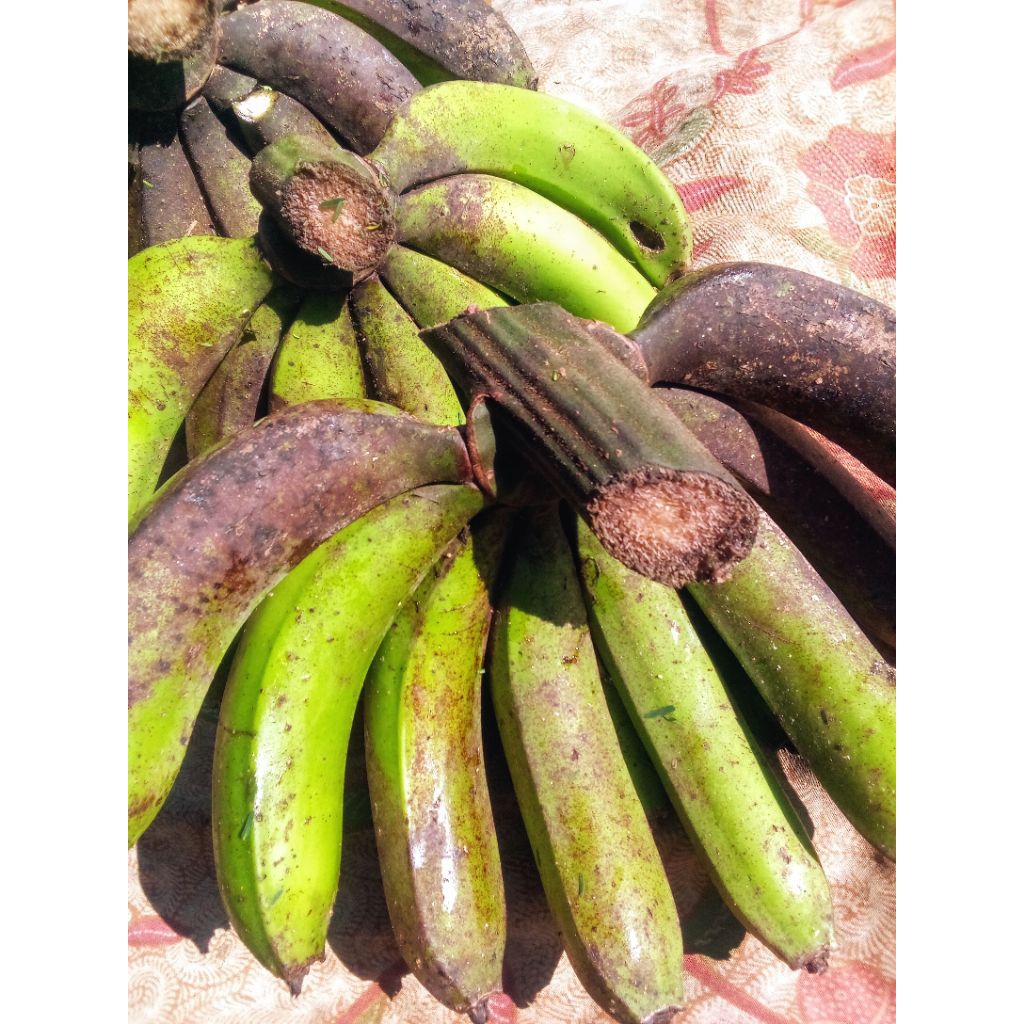 

pisang lumut 1kg