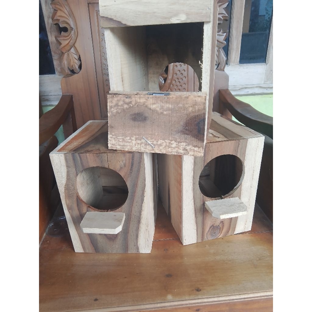 GLODOK BURUNG /JALAK GLODOK MURAI PINTU BELAKANG KAYU SONOKELING