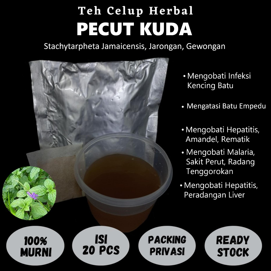 

Teh Celup Herbal PECUT KUDA Mengatasi Batu Empedu Kencing Batu Keputihan Amandel Hepatitis Rematik