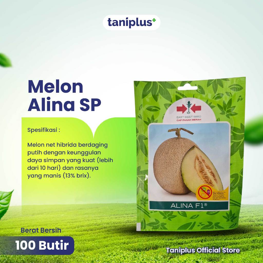 Melon Alina SP 100 Butir - Benih Hortikultura