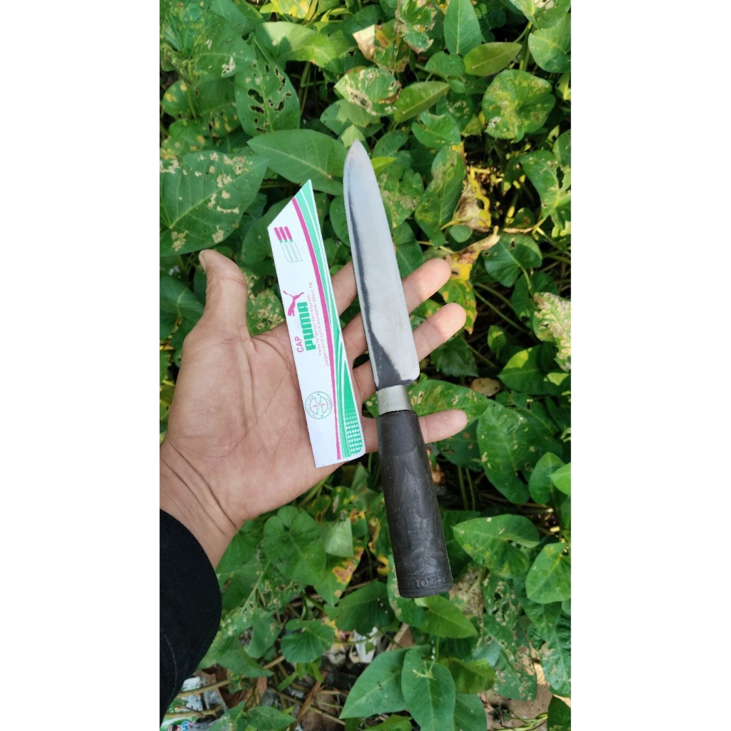 pisau dapur pisau baja hss (puma)