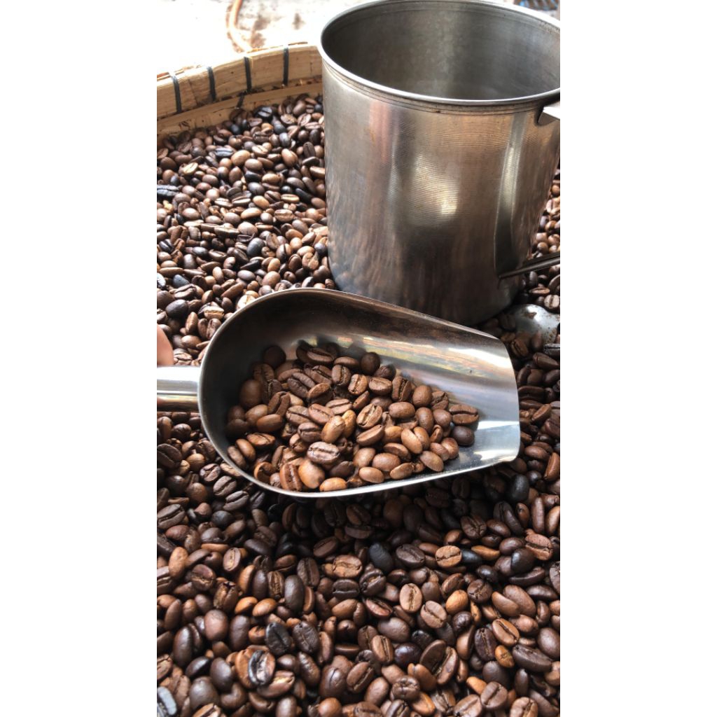 

Kopi Robusta Gunung Muria