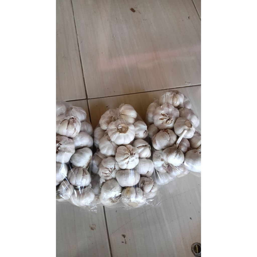 

bawang putih