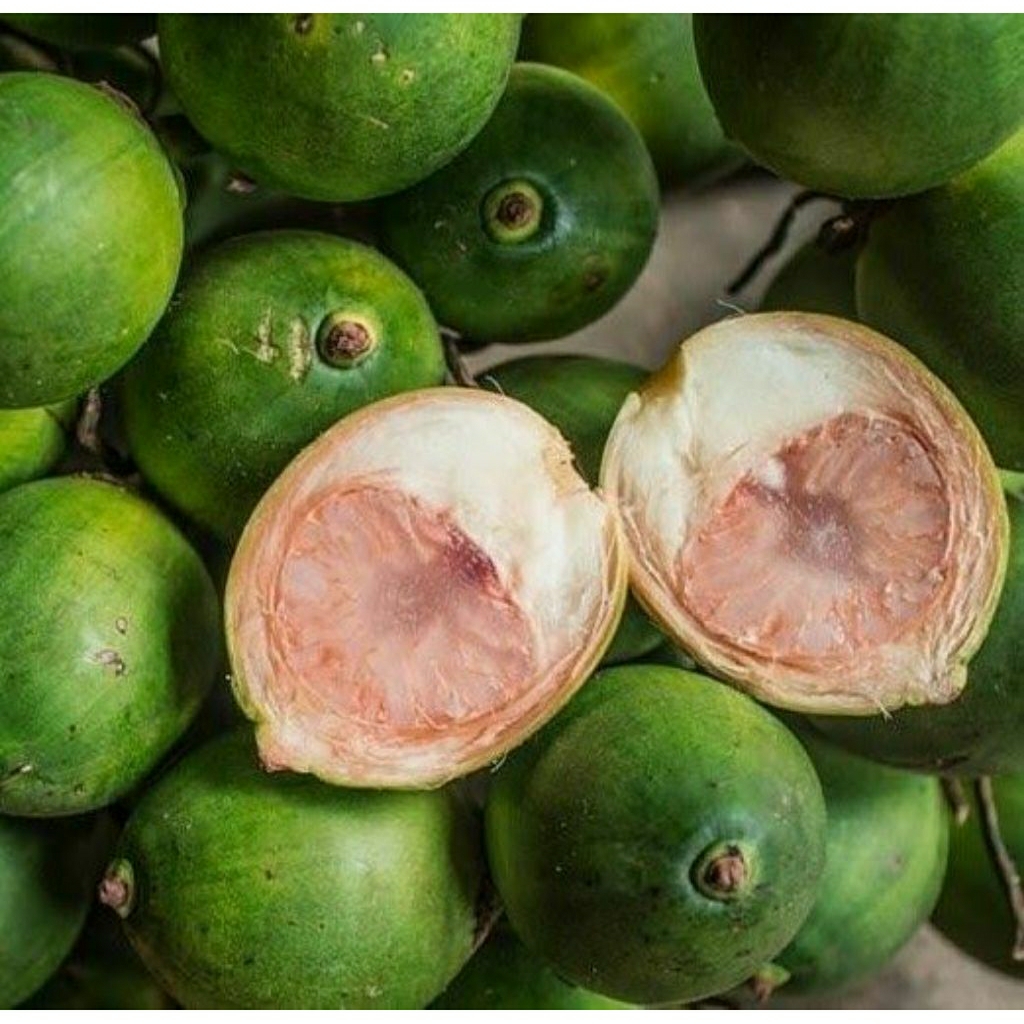 

Big Promo pinang muda segar 1 kg