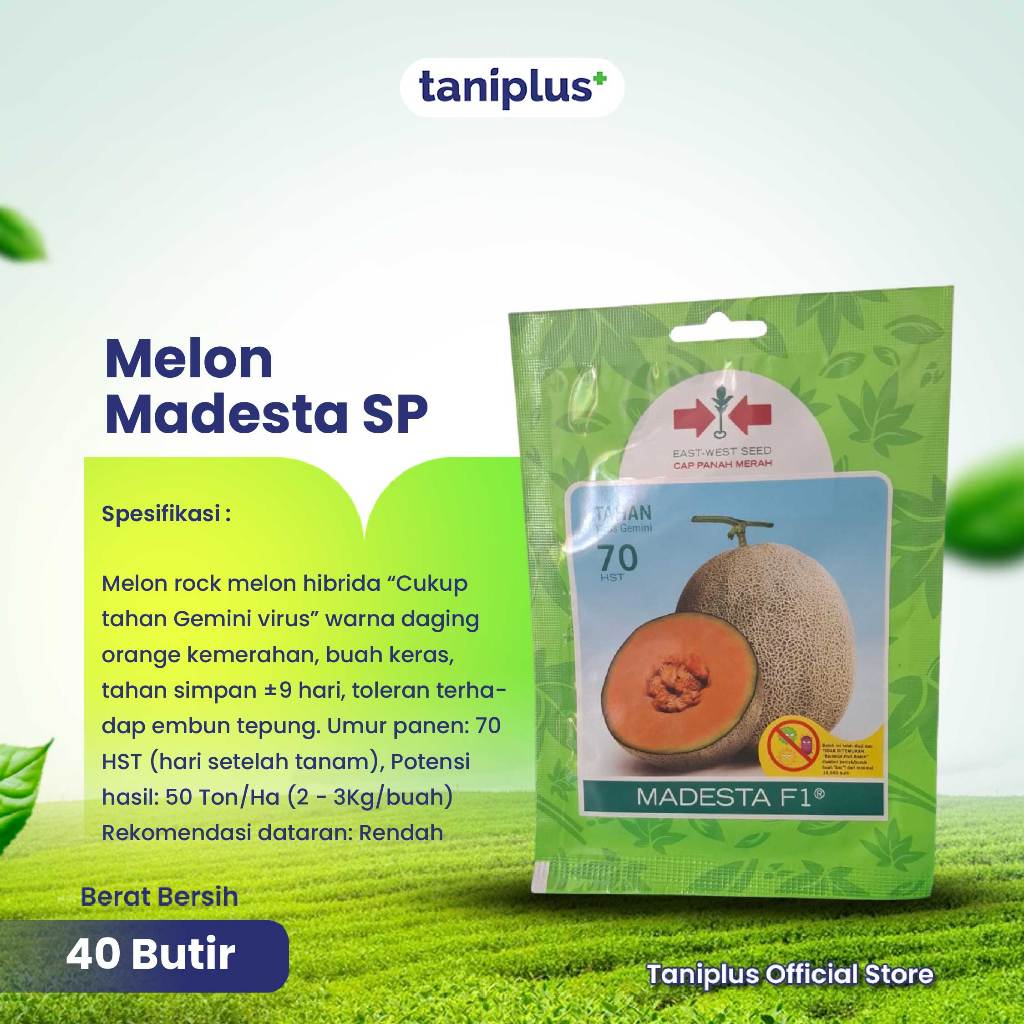 Melon Madesta SP 40 Butir - Benih Hortikultura