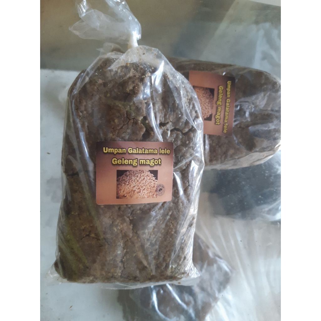 GELENG MAGOT Umpan jitu galatama lele