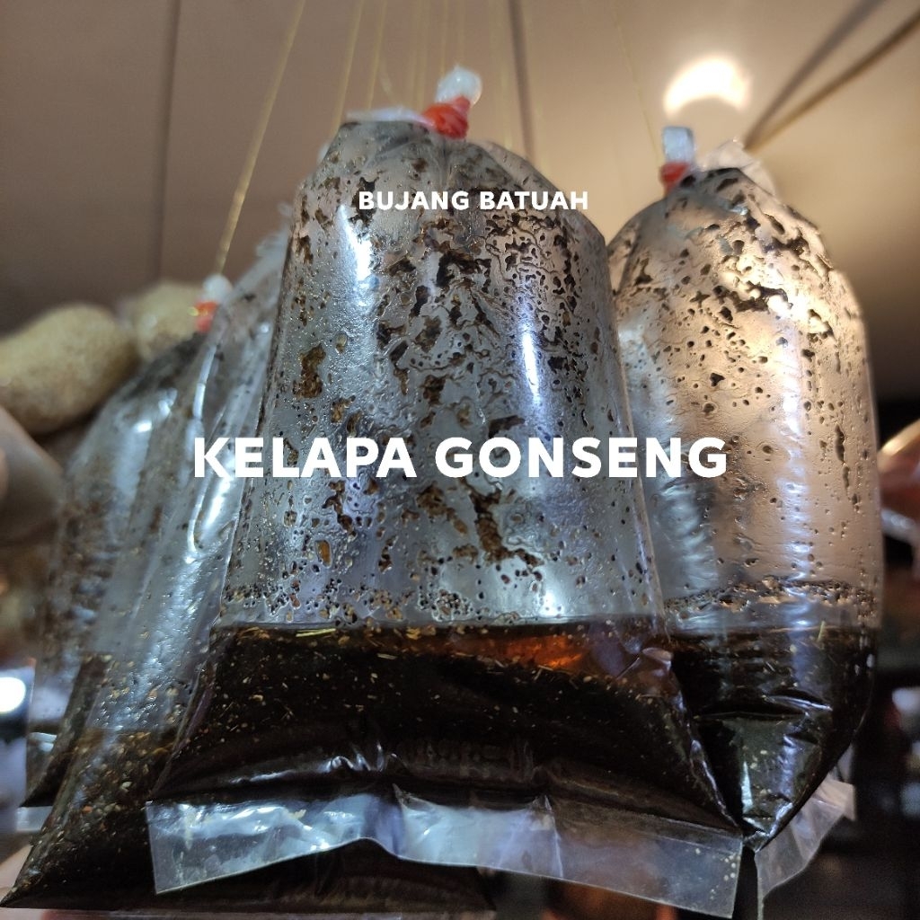

KELAPA SANGRAI/KELAPA GONSENG RENDANG 50GR 5RIBUAN