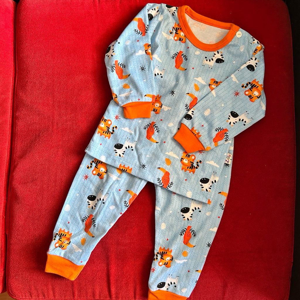 [PRELOVED] LIBBY setelan piyama anak laki-laki panjang (1 stel)
