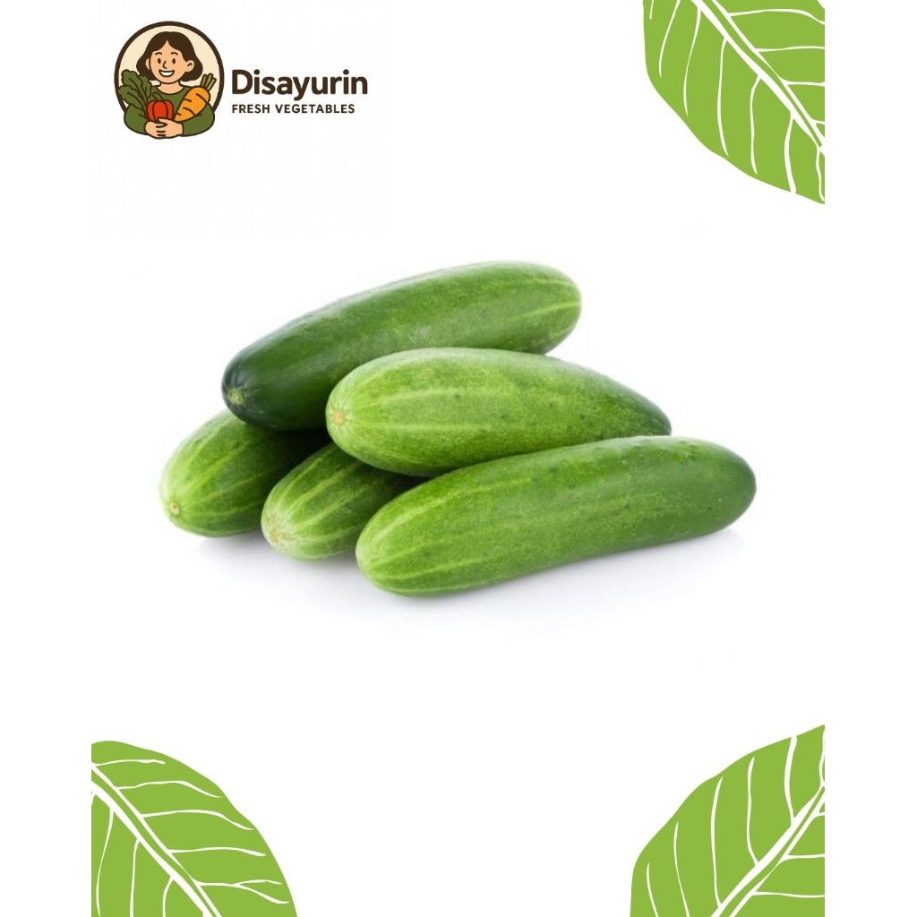 

Timun Segar ( 500 Gr )