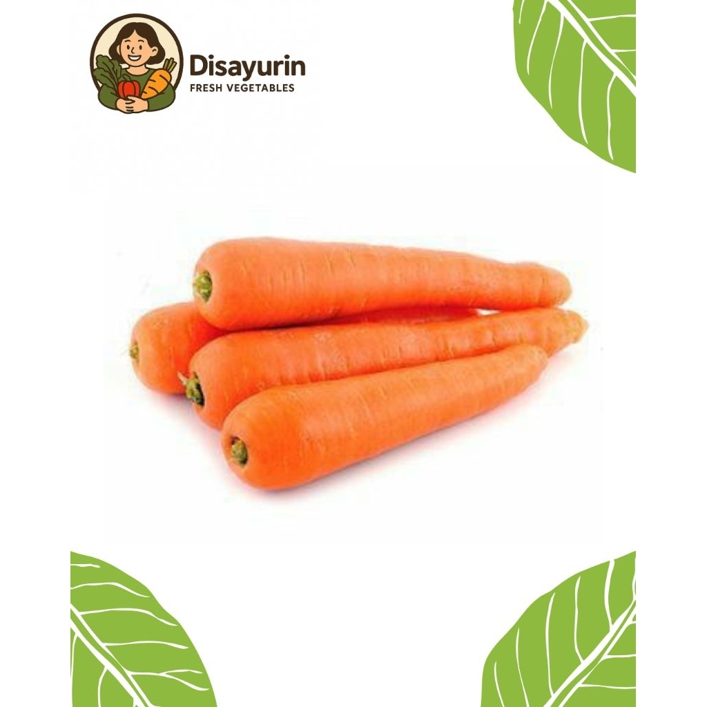 

Wortel Segar Premium ( 250 Gr )