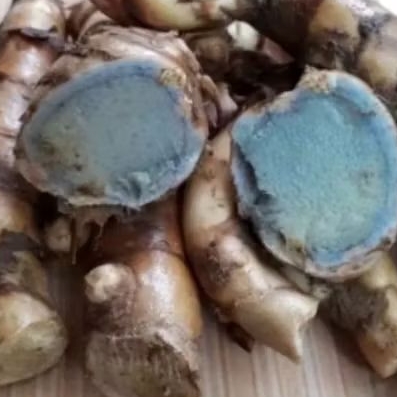 

Temu hitam segar 1 kg bersih