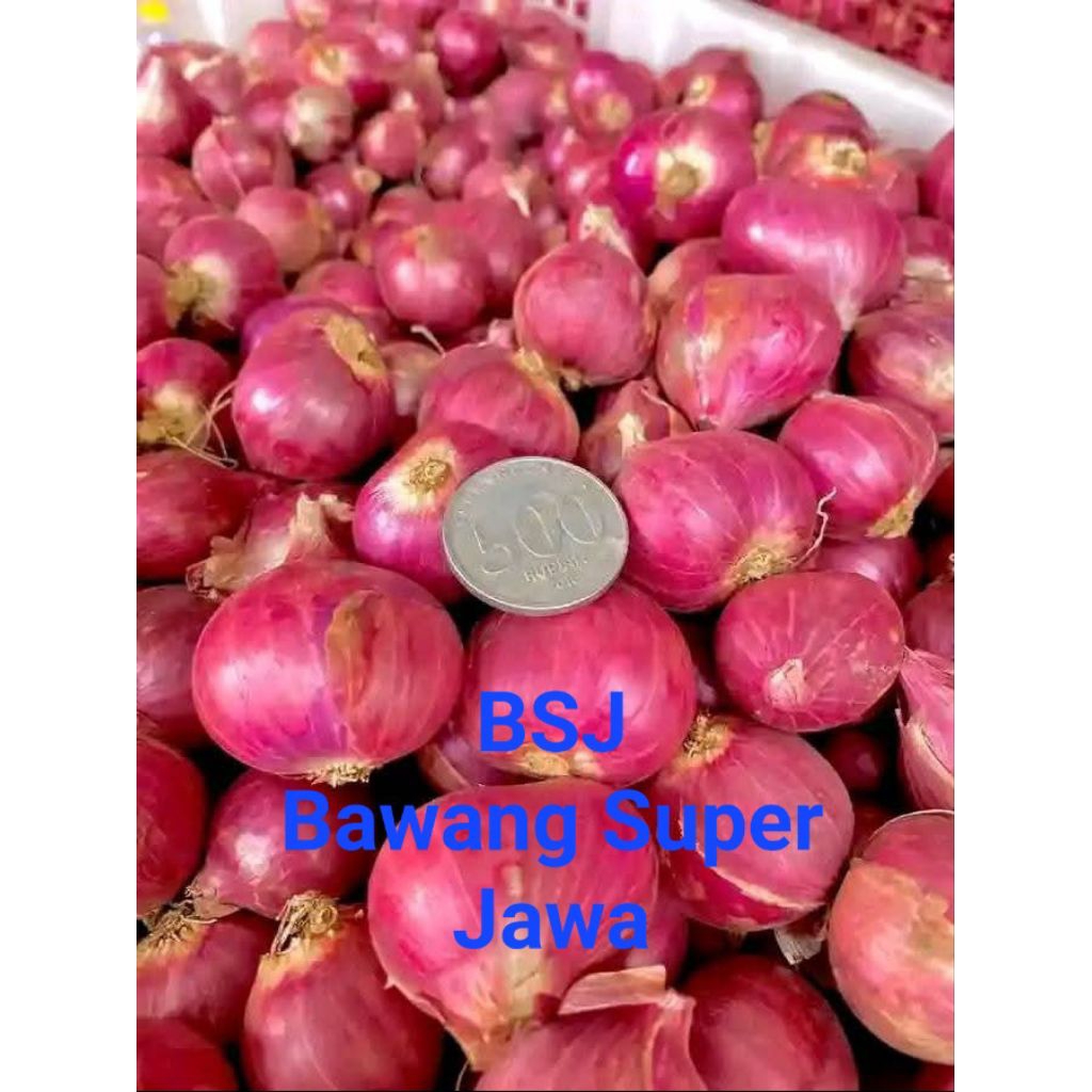 

Bawang Merah Super Langsung Dari Petani Indonesia