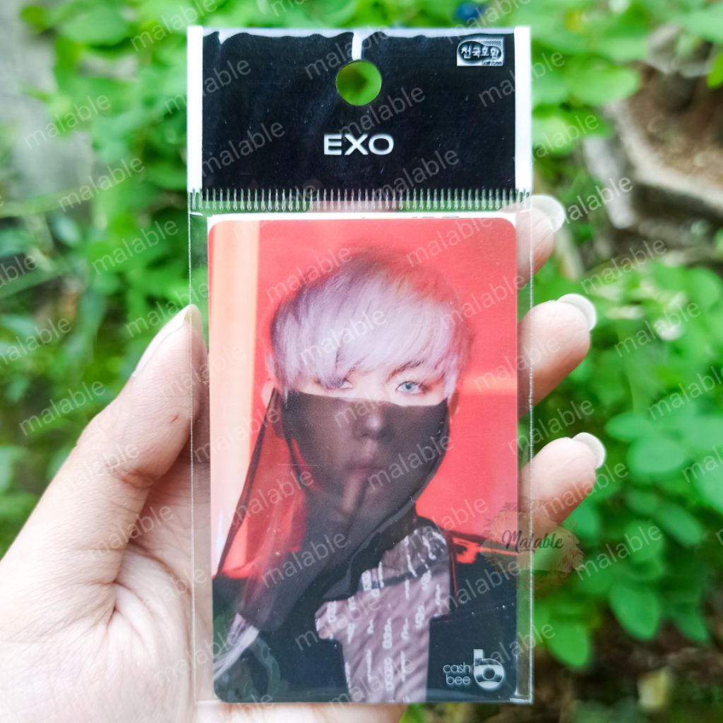 EXO Cashbee Official Obsession X-EXO Baekhyun