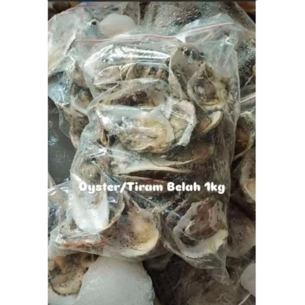 

OYSTER KERANG BELAH 1KG MURAH|KERANG OYSTER|TIRAM BELAH 1KG