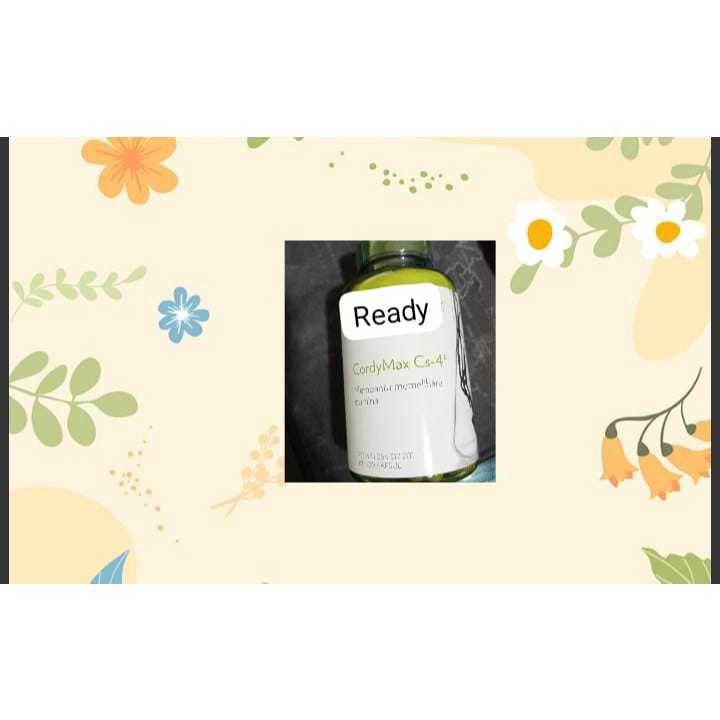 

Sehat Kordymak Stamina Exp 07/2026