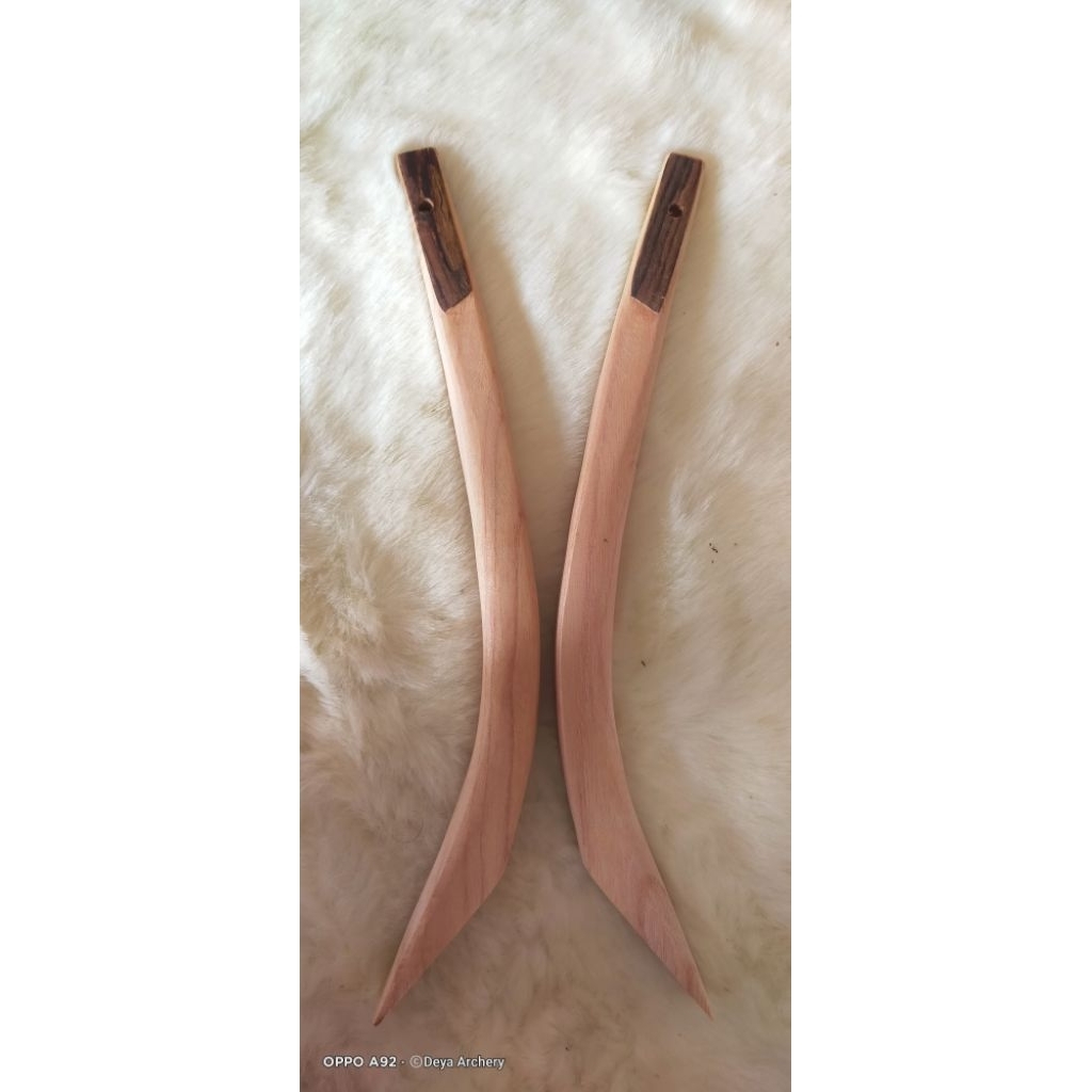 Siyah Busur Horsebow Hun Seljuk