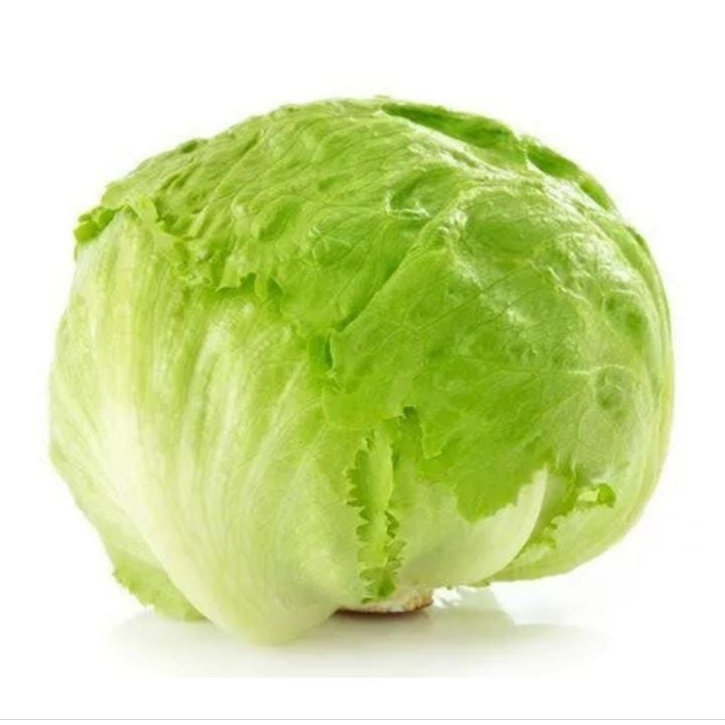 

lettuce letus 1kg harga turun