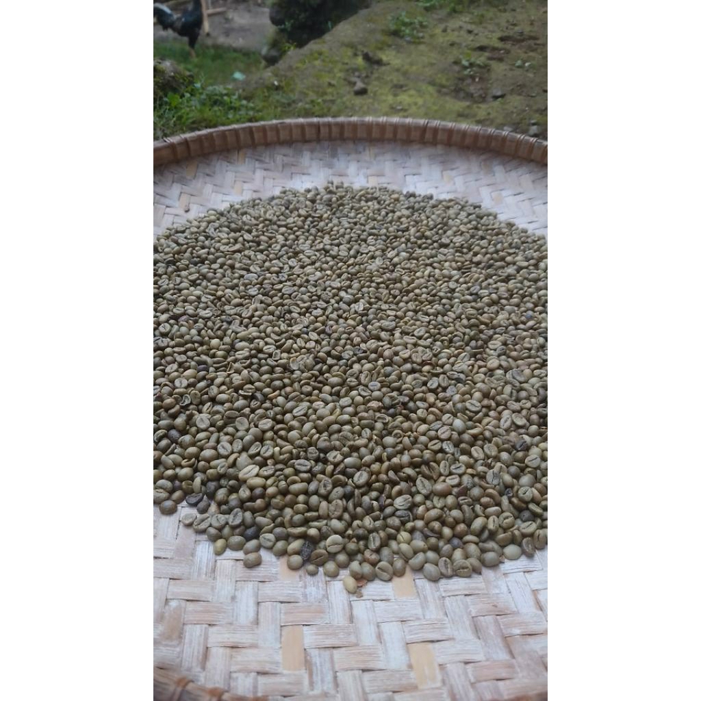 

Green Bean atau Biji Kopi Robusta 100gr