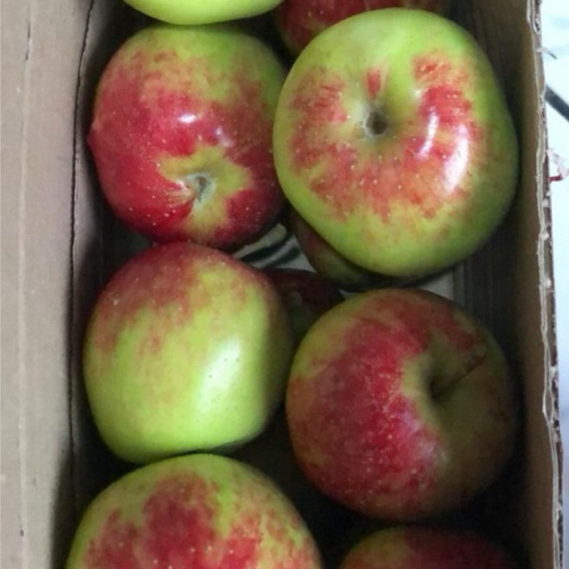 

Apel Anna Batu Malang 1kg