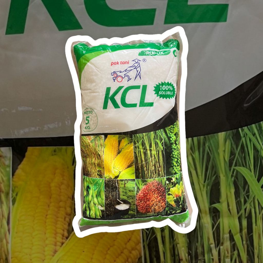 KCL PUTIH CAP PAK TANI 5 KG | Pupuk Kalium K2O 60% untuk Tanaman Buah, Sayur, dan Perkebunan