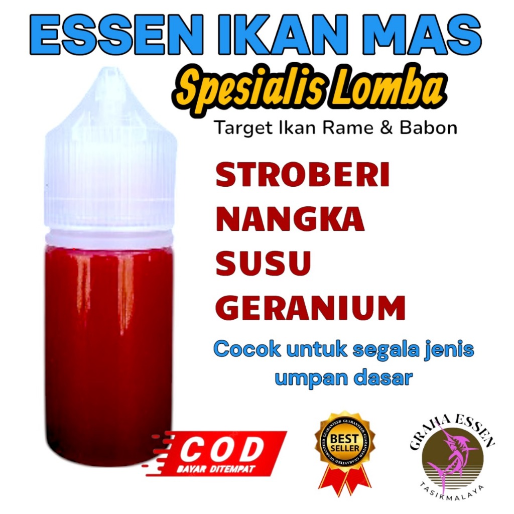 Essen Ikan Mas Stroberi Nangka Susu Geranium  umpan ikan mas terbukti ampuh