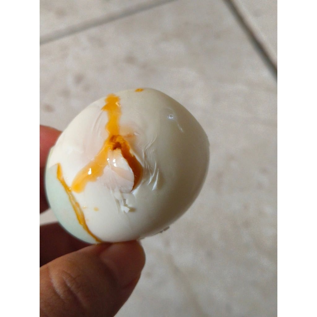 

Telur Asin Mansir super