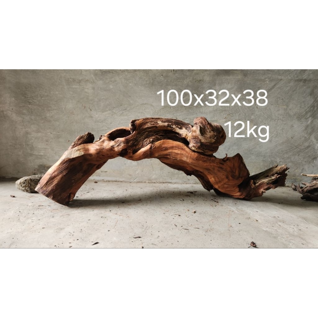 Kayu Santigi tenggelam Jumbo