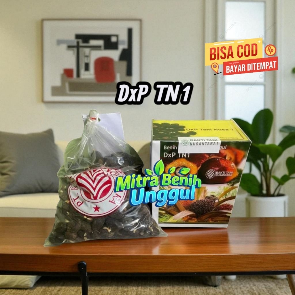 Benih kecambah Sawit TN1 Unggul