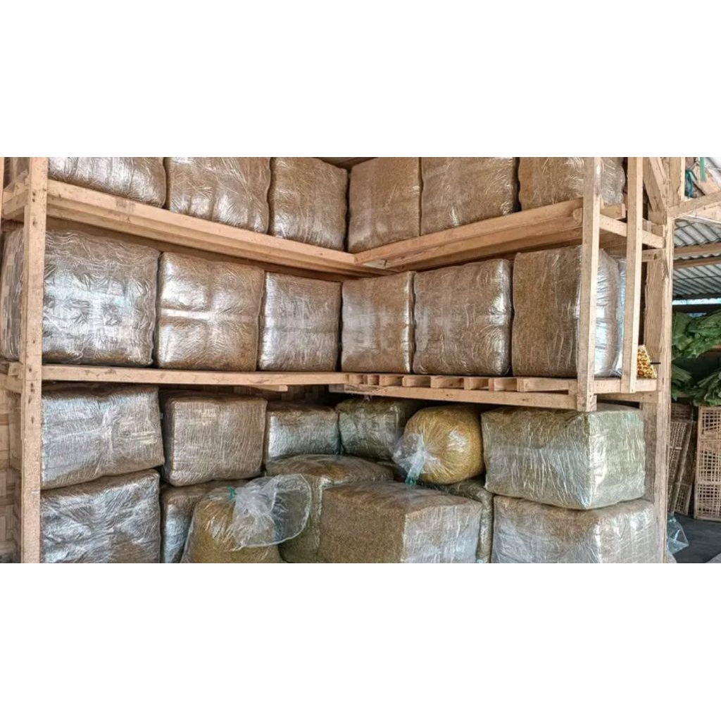 

Daun Talas beneng kering 1 kg siap pakai