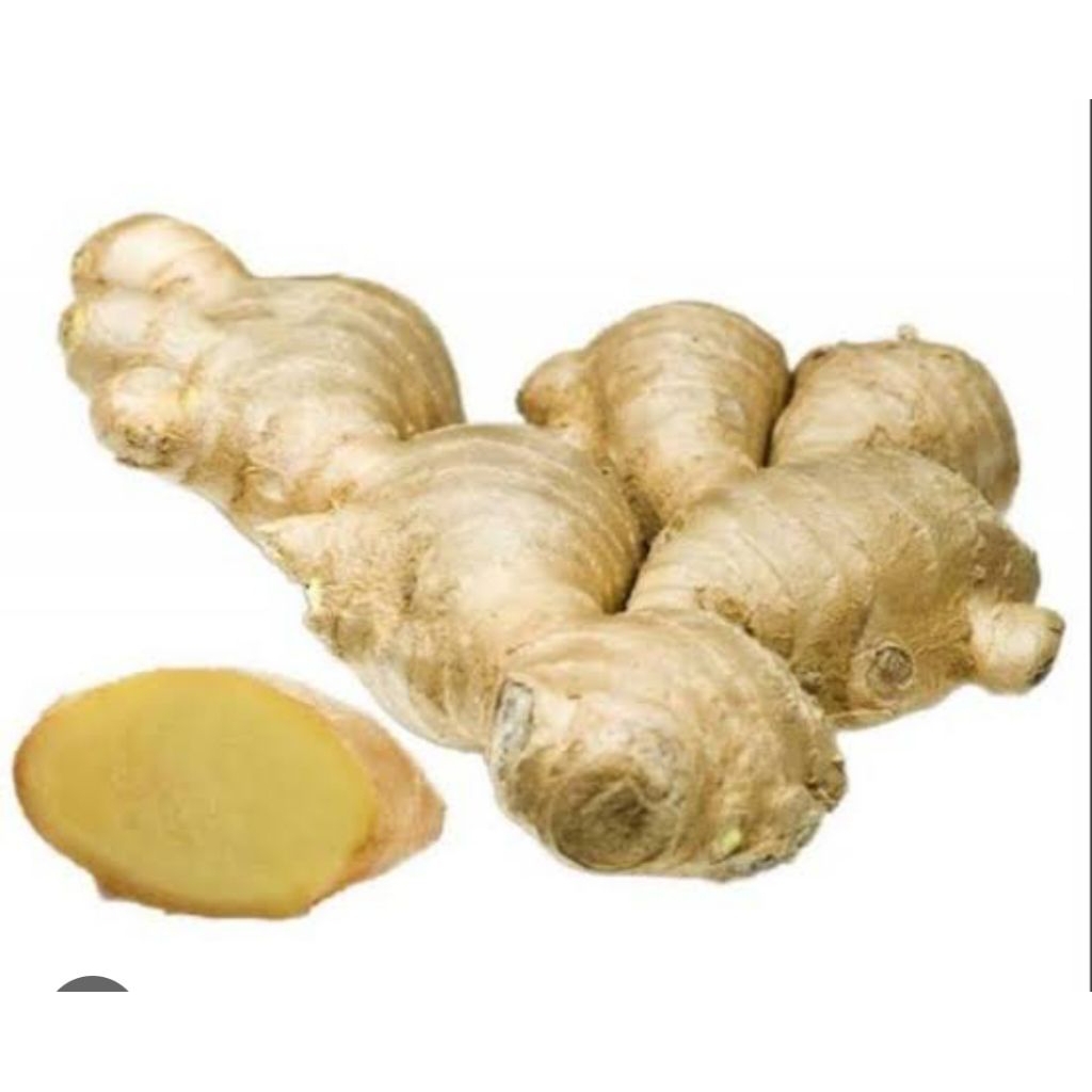 

lempuyang gajah 500gr