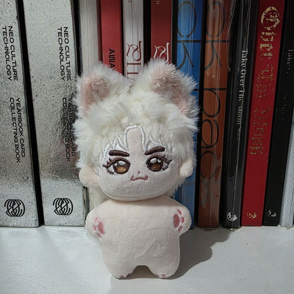 Doll Xiaojun Doll Wayv NCT Xiaolangjun
