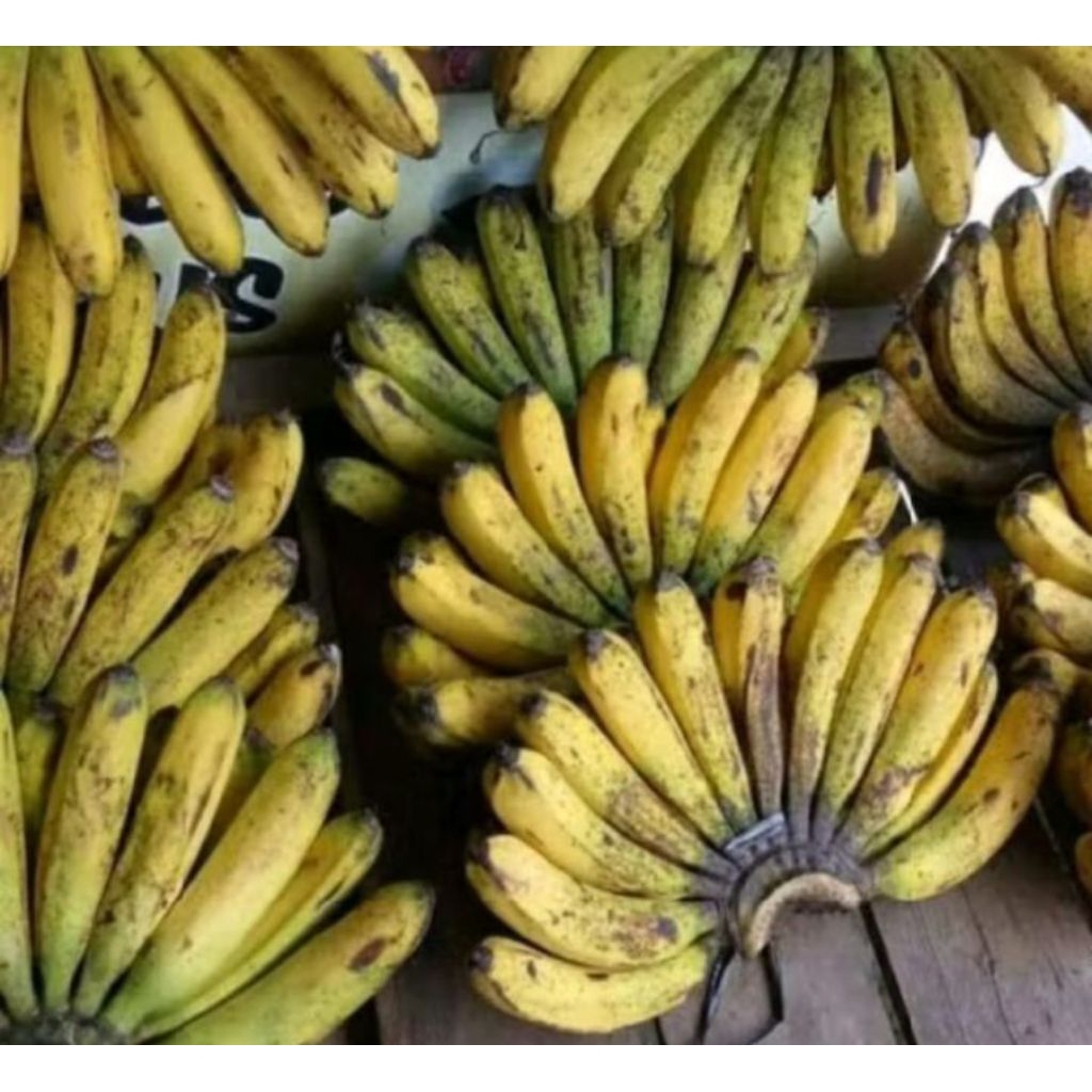 

Pisang Barangan Medan Pesisir