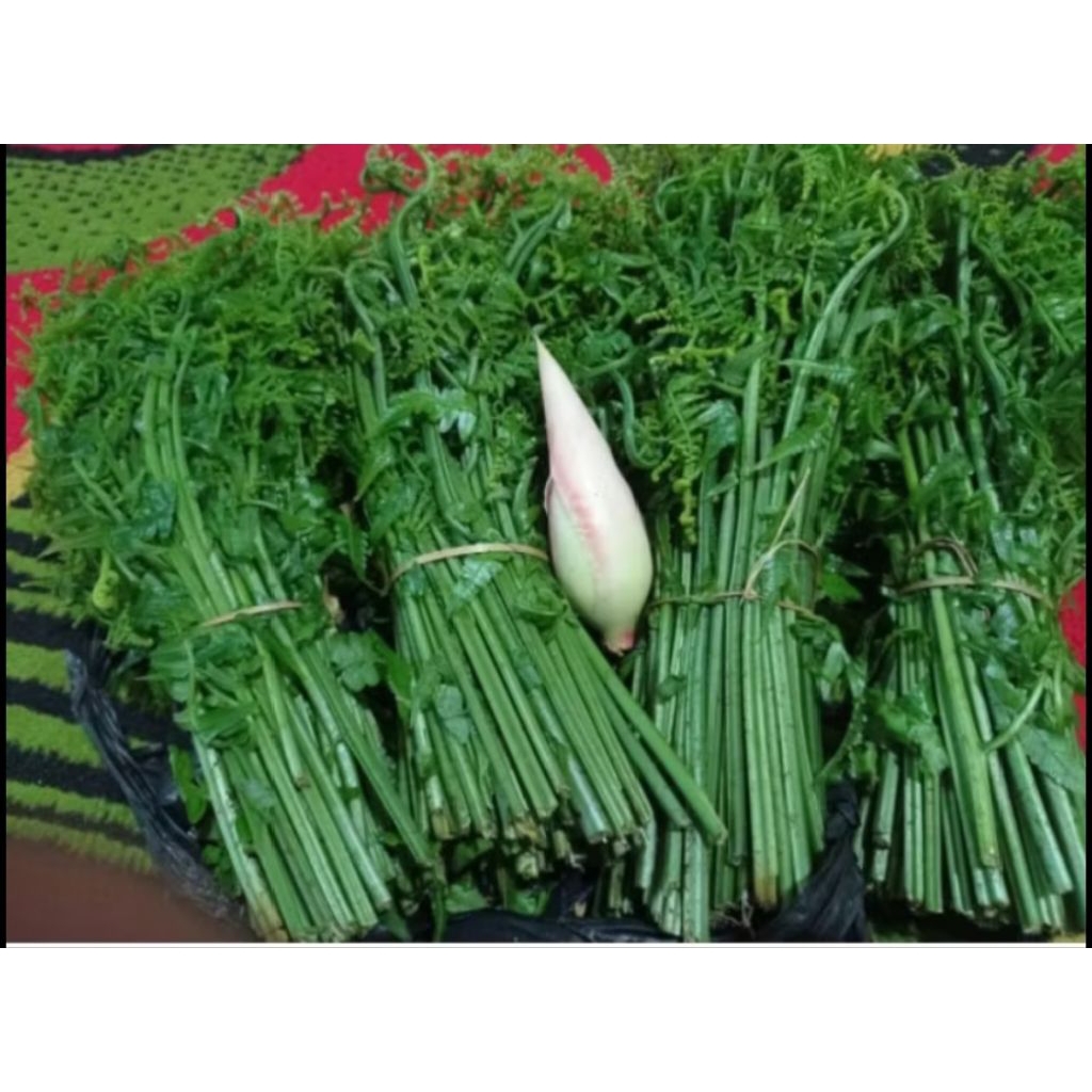 

1 ikat pakis sayur harga murah fresh