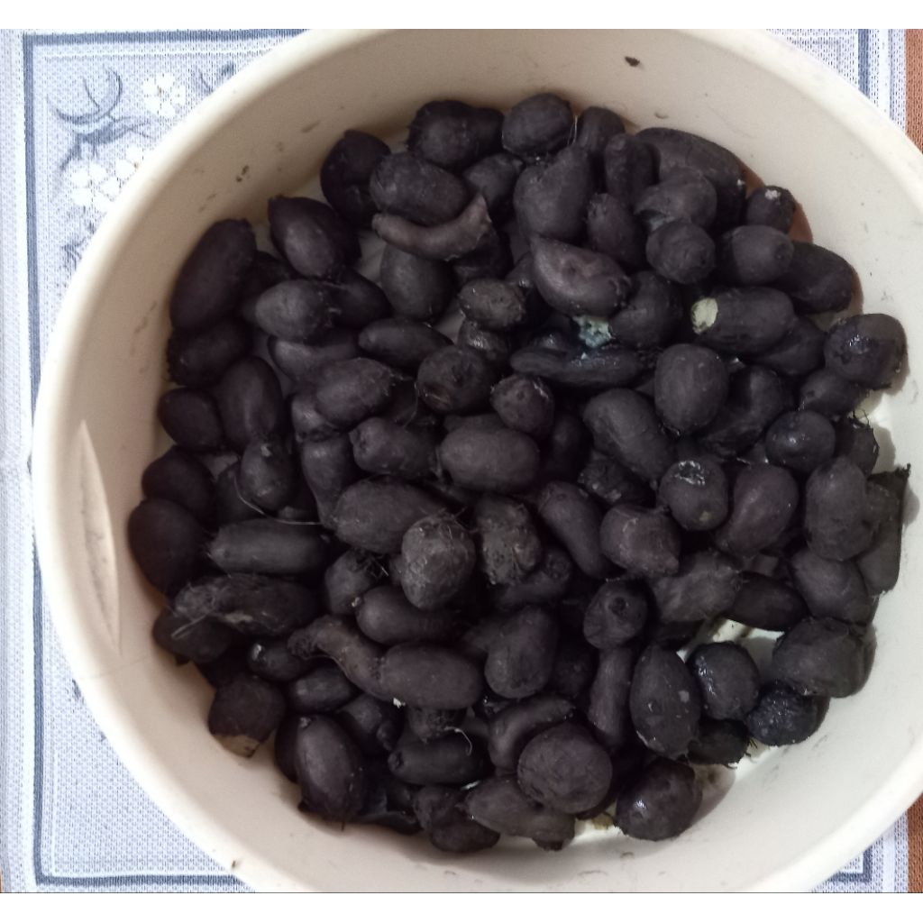 

kentang hitam 1kg / kentang musiman / chat sblm ORDER