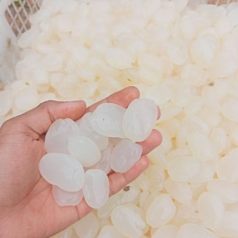 

PROMO 1KG KOLANG KALING MUDA TANPA PENGAWET 100% ASLI