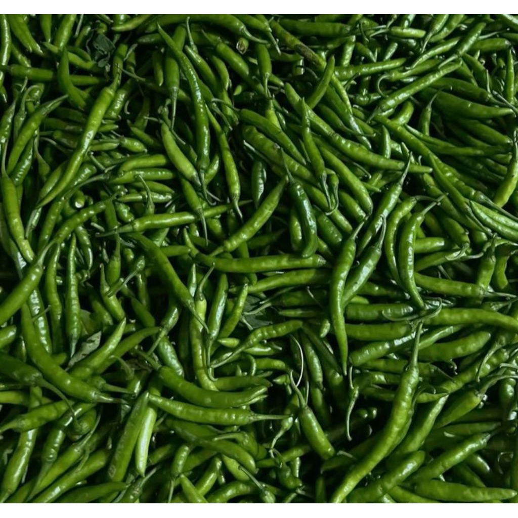 

cabai keriting hijau cabe 100 g sayur segar jogja