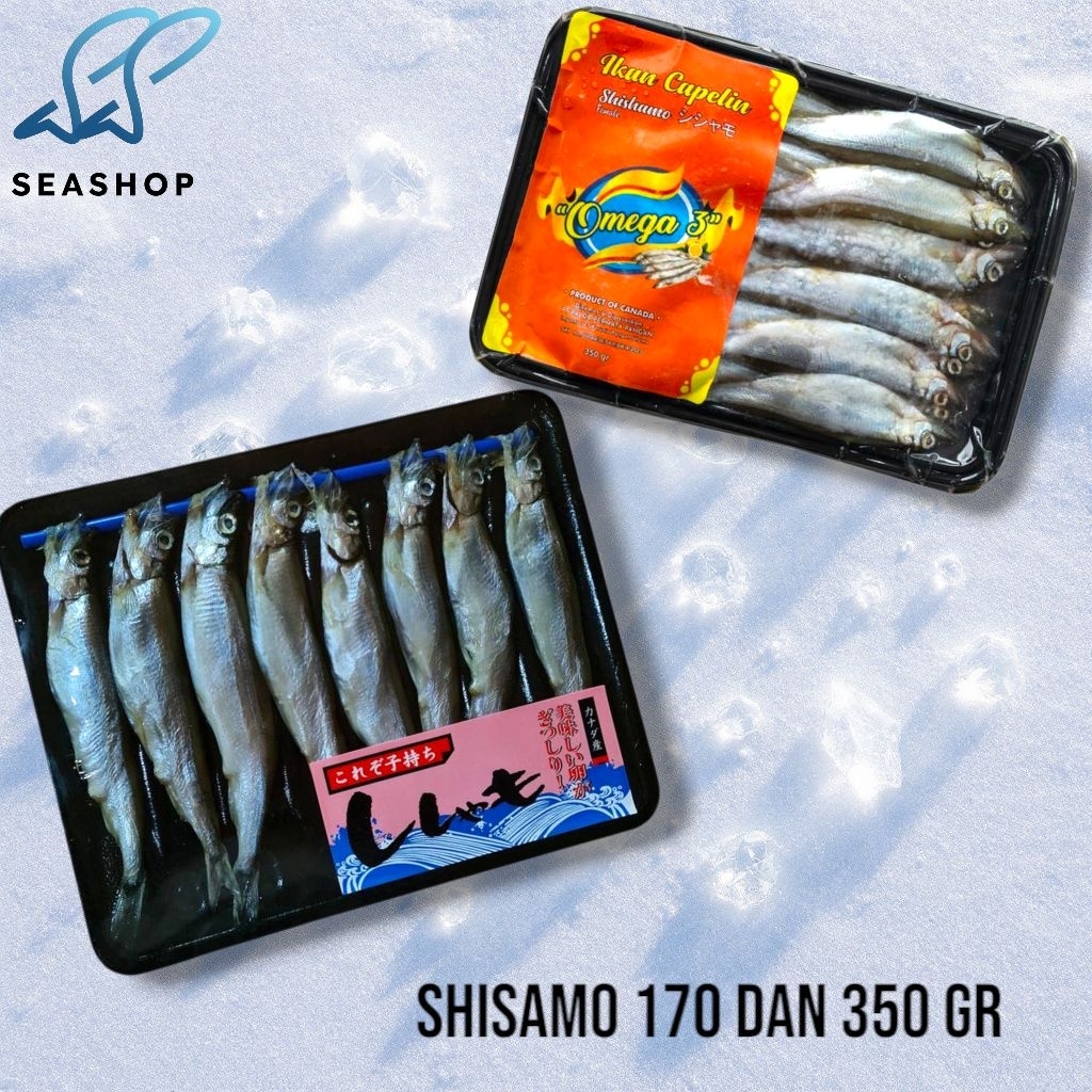 

Ikan Shisamo - Capelin Fish - Ikan Telur Import