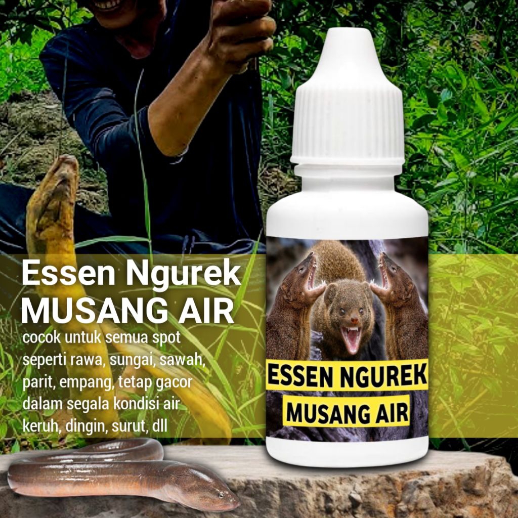 Essen kusus mancing belut besar