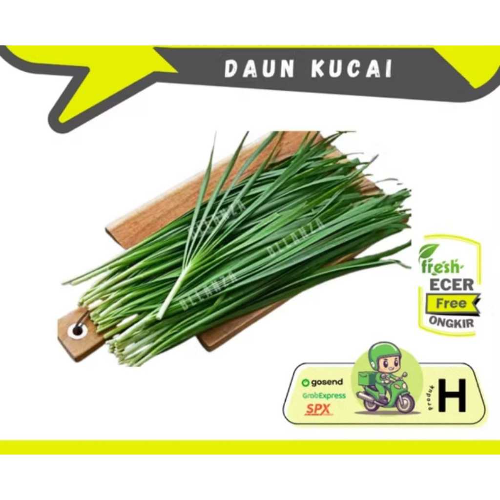 

Sanmonggoo >> Kucai / Daun Kucai -- Hasil Bumi Sindoro Sumbing Ecer (H)