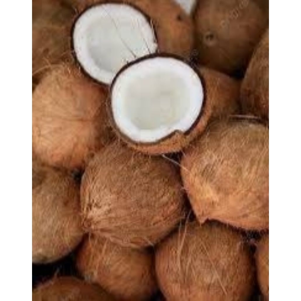 

KELAPA TUA KUPAS grade AB/kelapa santan