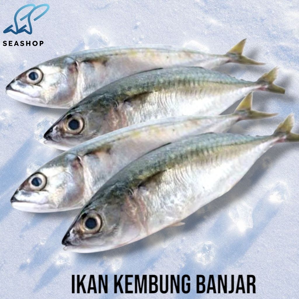 

Ikan Kembung Banjar Segar - Ikan Kembung - Seafood