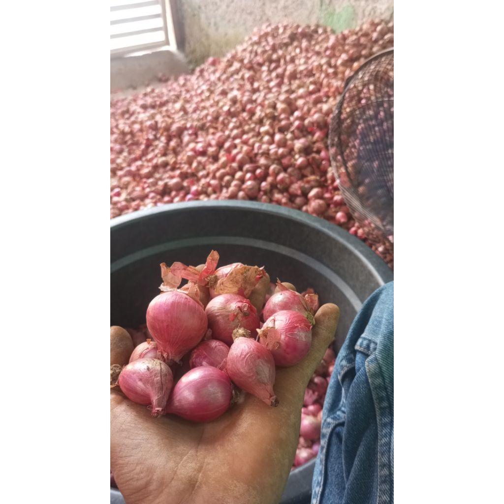 

bawang merah 500g lokal super