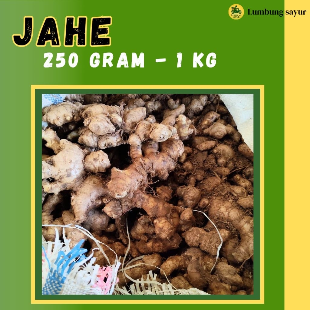 

Jahe Emprit Tua Fresh 250g–1kg | Pedas Segar dari Petani | Kualitas Premium