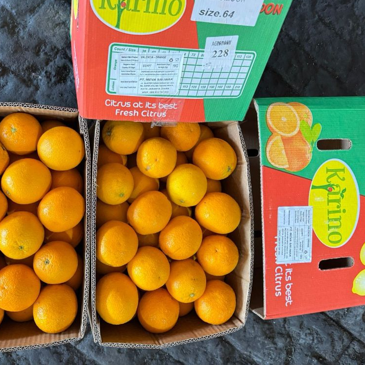 

Jeruk Sunkist Valencia (KG)